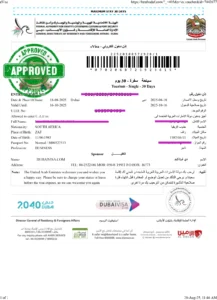 Dubaivisa.com proof of real visa processed.